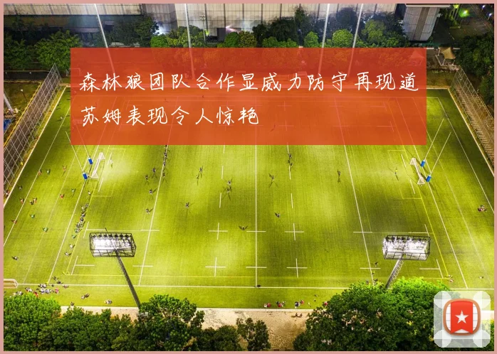 森林狼团队合作显威力防守再现道苏姆表现令人惊艳
