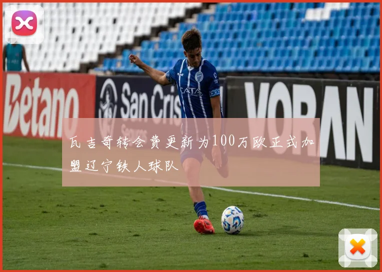 瓦吉奇转会费更新为100万欧正式加盟辽宁铁人球队