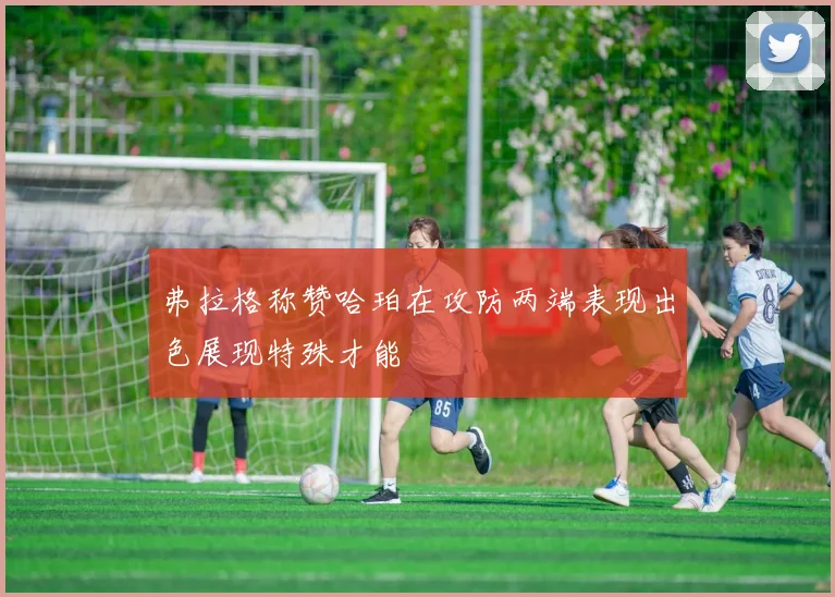弗拉格称赞哈珀在攻防两端表现出色展现特殊才能